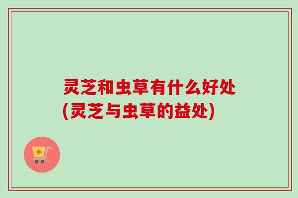 灵芝和虫草有什么好处(灵芝与虫草的益处) 灵芝和虫草有什么好处(灵芝与虫草的益处)