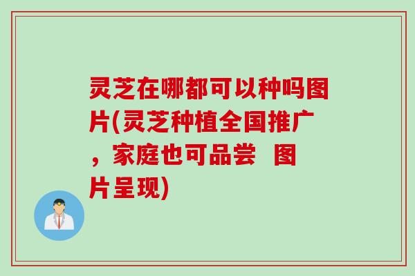 灵芝在哪都可以种吗图片(灵芝种植全国推广，家庭也可品尝  图片呈现)