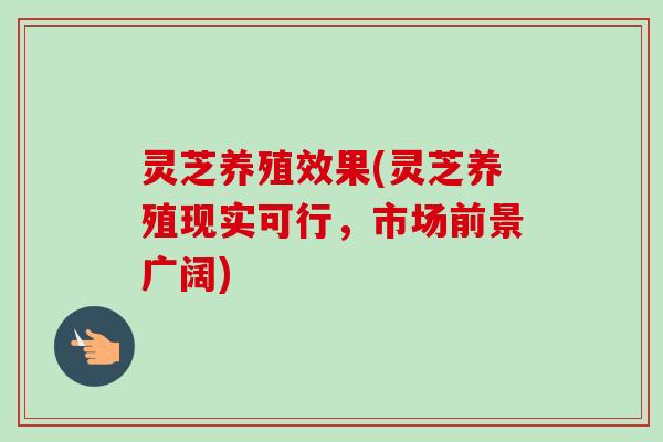 灵芝养殖效果(灵芝养殖现实可行,市场前景广阔) 灵芝养殖效果(灵芝养殖现实可行,市场前景广阔)