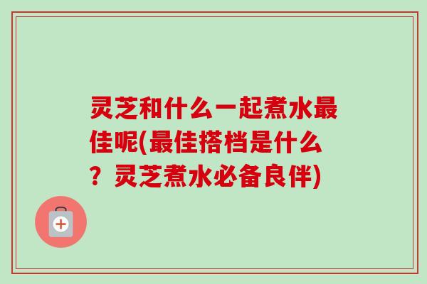 灵芝和什么一起煮水最佳呢(最佳搭档是什么？灵芝煮水必备良伴)
