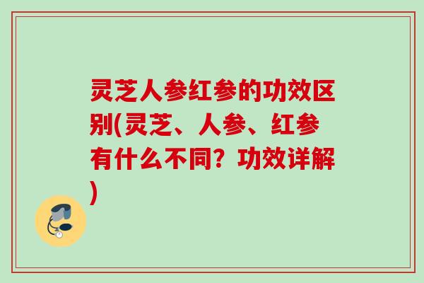 灵芝人参红参的功效区别(灵芝、人参、红参有什么不同？功效详解)