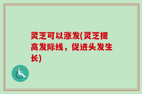 灵芝可以涨发(灵芝提高发际线，促进头发生长)