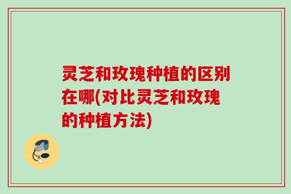 灵芝和玫瑰种植的区别在哪(对比灵芝和玫瑰的种植方法)