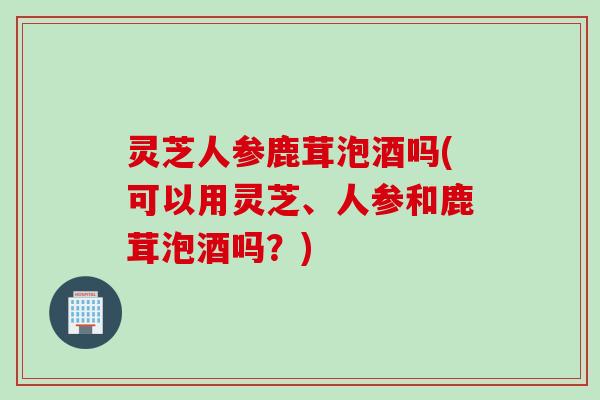 灵芝人参鹿茸泡酒吗(可以用灵芝、人参和鹿茸泡酒吗？)
