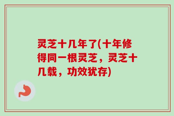 灵芝十几年了(十年修得同一根灵芝，灵芝十几载，功效犹存)
