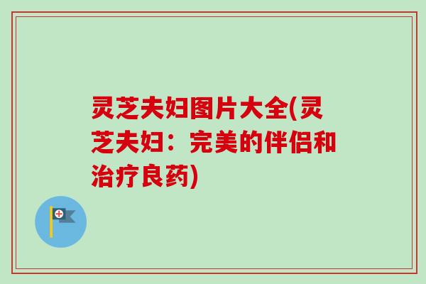 灵芝夫妇图片大全(灵芝夫妇：完美的伴侣和治疗良药)