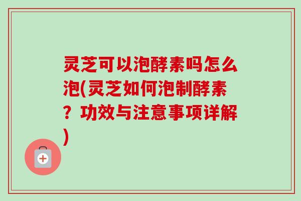灵芝可以泡酵素吗怎么泡(灵芝如何泡制酵素？功效与注意事项详解)