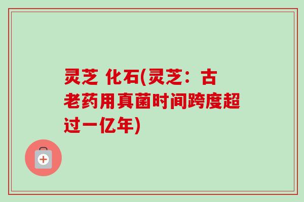 灵芝 化石(灵芝：古老药用真菌时间跨度超过一亿年)