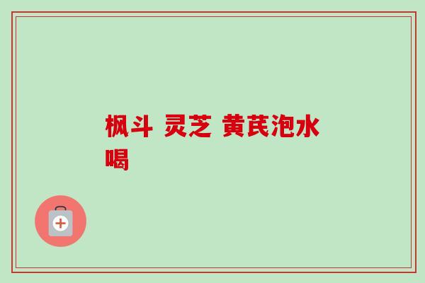 枫斗 灵芝 黄芪泡水喝