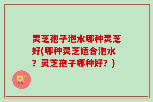 灵芝孢子泡水哪种灵芝好(哪种灵芝适合泡水？灵芝孢子哪种好？)