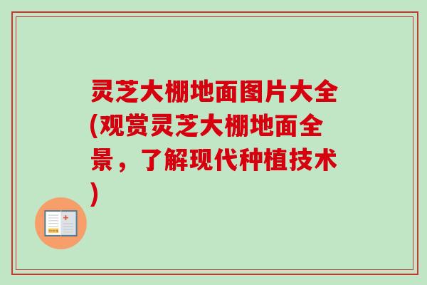 灵芝大棚地面图片大全(观赏灵芝大棚地面全景，了解现代种植技术)