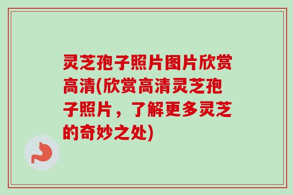 灵芝孢子照片图片欣赏高清(欣赏高清灵芝孢子照片,了解更多灵芝的奇妙之处) 灵芝孢子照片图片欣赏高清(欣赏高清灵芝孢子照片,了解更多灵芝的奇妙之处)
