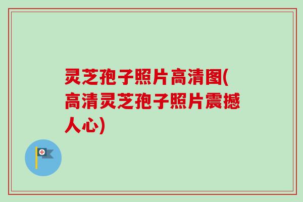 灵芝孢子照片高清图(高清灵芝孢子照片震撼人心)