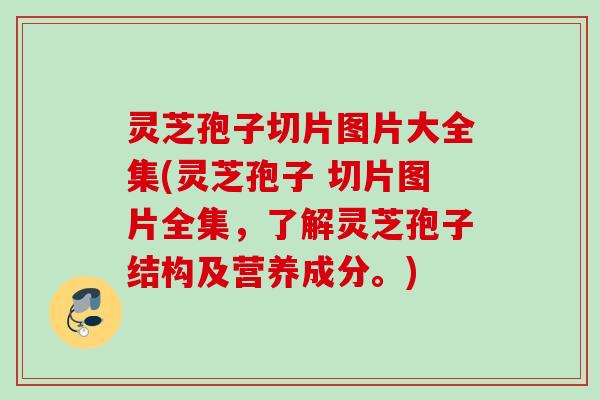 灵芝孢子切片图片大全集(灵芝孢子 切片图片全集，了解灵芝孢子结构及营养成分。)
