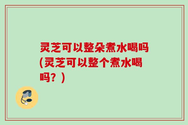 灵芝可以整朵煮水喝吗(灵芝可以整个煮水喝吗？)