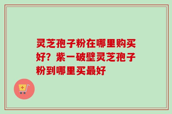 灵芝孢子粉在哪里购买好？紫一破壁灵芝孢子粉到哪里买最好