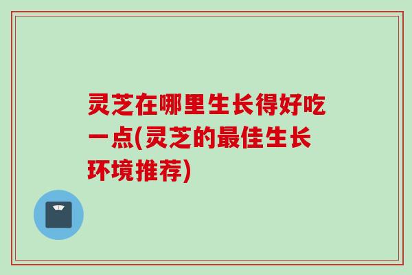 灵芝在哪里生长得好吃一点(灵芝的最佳生长环境推荐)