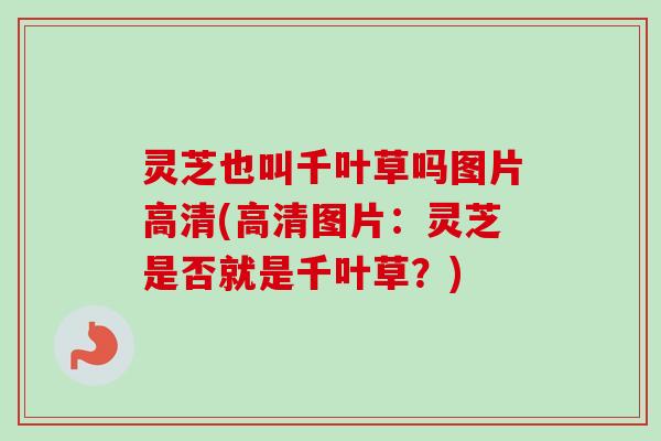 灵芝也叫千叶草吗图片高清(高清图片：灵芝是否就是千叶草？)