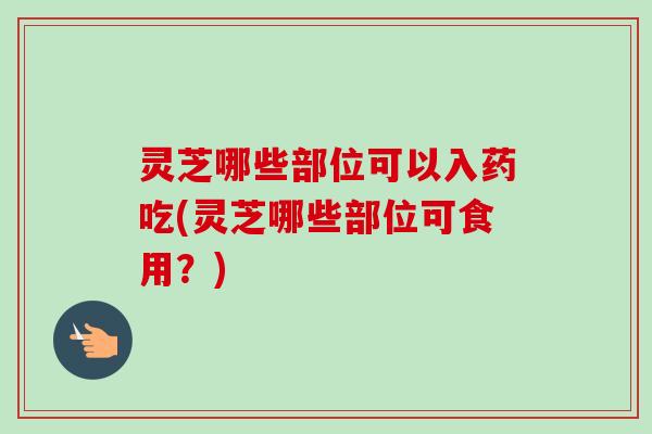 灵芝哪些部位可以入药吃(灵芝哪些部位可食用？)