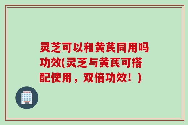 灵芝可以和黄芪同用吗功效(灵芝与黄芪可搭配使用,双倍功效!) 灵芝可以和黄芪同用吗功效(灵芝与黄芪可搭配使用,双倍功效!)
