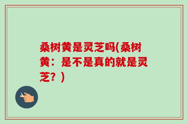 桑树黄是灵芝吗(桑树黄:是不是真的就是灵芝?) 桑树黄是灵芝吗(桑树黄:是不是真的就是灵芝?)