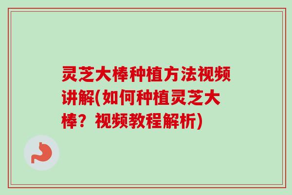 灵芝大棒种植方法视频讲解(如何种植灵芝大棒？视频教程解析)