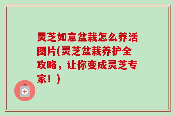 灵芝如意盆栽怎么养活图片(灵芝盆栽养护全攻略，让你变成灵芝专家！)