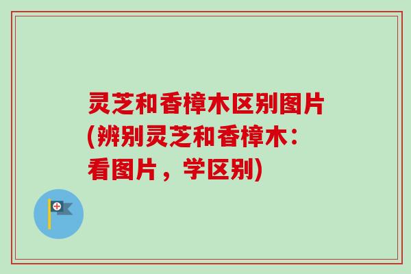 灵芝和香樟木区别图片(辨别灵芝和香樟木：看图片，学区别)