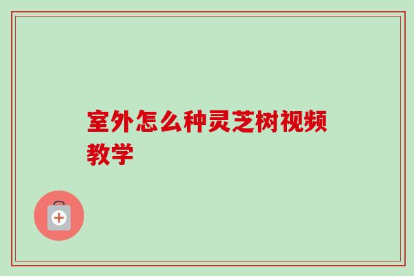 室外怎么种灵芝树视频教学