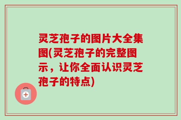 灵芝孢子的图片大全集图(灵芝孢子的完整图示，让你全面认识灵芝孢子的特点)
