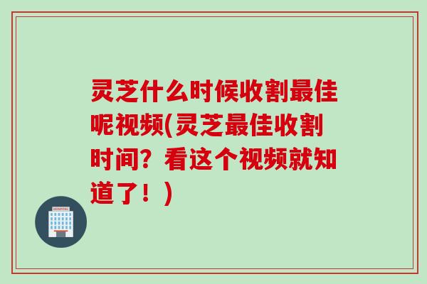 灵芝什么时候收割最佳呢视频(灵芝最佳收割时间？看这个视频就知道了！)