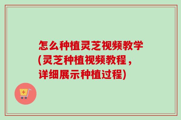 怎么种植灵芝视频教学(灵芝种植视频教程，详细展示种植过程)
