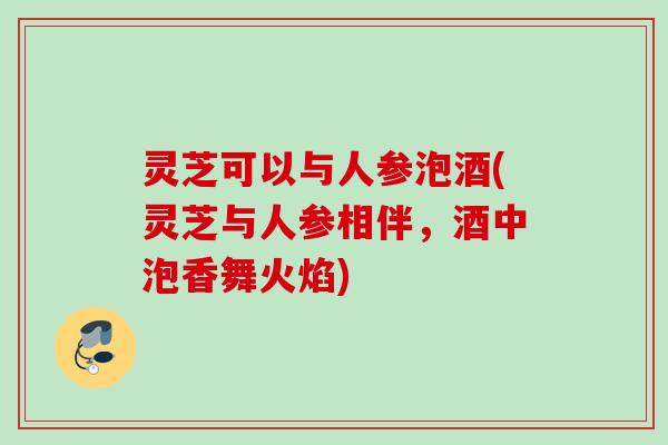灵芝可以与人参泡酒(灵芝与人参相伴，酒中泡香舞火焰)