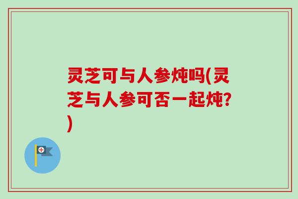 灵芝可与人参炖吗(灵芝与人参可否一起炖?) 灵芝可与人参炖吗(灵芝与人参可否一起炖?)