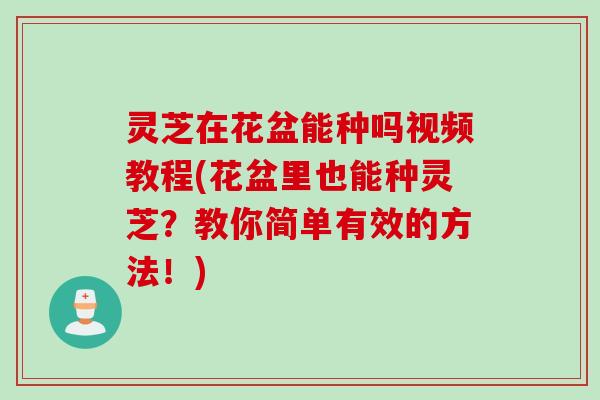 灵芝在花盆能种吗视频教程(花盆里也能种灵芝？教你简单有效的方法！)