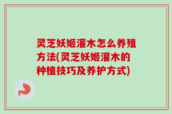 灵芝妖姬灌木怎么养殖方法(灵芝妖姬灌木的种植技巧及养护方式) 灵芝妖姬灌木怎么养殖方法(灵芝妖姬灌木的种植技巧及养护方式)