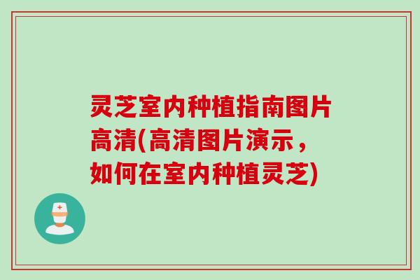灵芝室内种植指南图片高清(高清图片演示，如何在室内种植灵芝)
