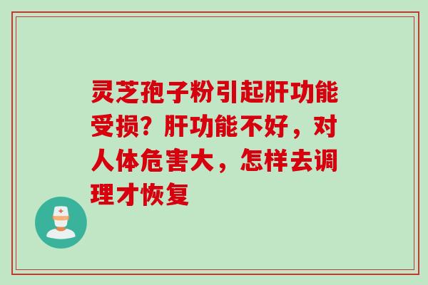 灵芝孢子粉引起肝功能受损？肝功能不好，对人体危害大，怎样去调理才恢复