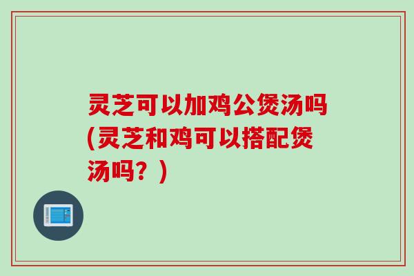 灵芝可以加鸡公煲汤吗(灵芝和鸡可以搭配煲汤吗？)
