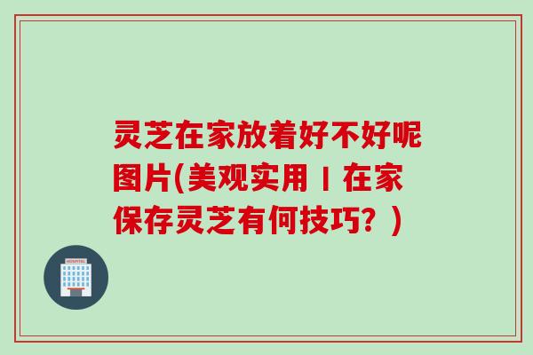 灵芝在家放着好不好呢图片(美观实用丨在家保存灵芝有何技巧？)