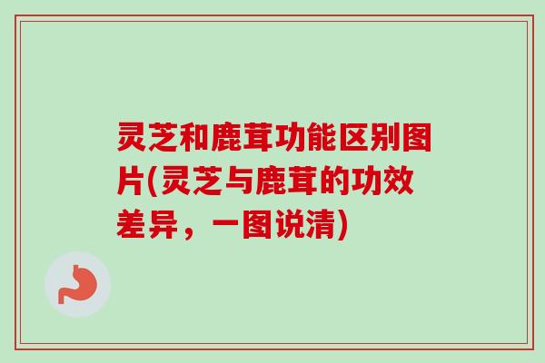 灵芝和鹿茸功能区别图片(灵芝与鹿茸的功效差异，一图说清)