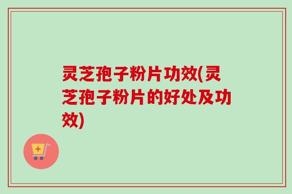 灵芝孢子粉片功效(灵芝孢子粉片的好处及功效)