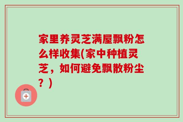 家里养灵芝满屋飘粉怎么样收集(家中种植灵芝，如何避免飘散粉尘？)