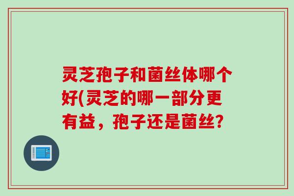 灵芝孢子和菌丝体哪个好(灵芝的哪一部分更有益,孢子还是菌丝? 灵芝孢子和菌丝体哪个好(灵芝的哪一部分更有益,孢子还是菌丝?