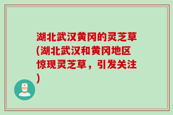 湖北武汉黄冈的灵芝草(湖北武汉和黄冈地区惊现灵芝草，引发关注)