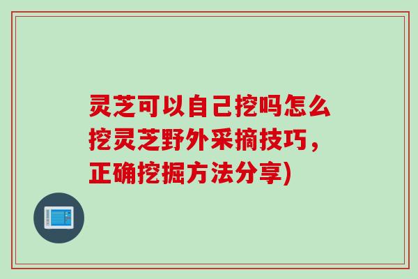 灵芝可以自己挖吗怎么挖灵芝野外采摘技巧，正确挖掘方法分享)