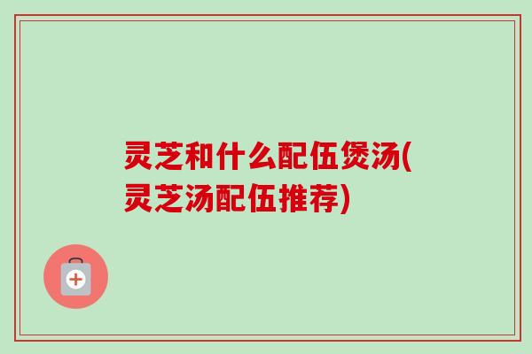灵芝和什么配伍煲汤(灵芝汤配伍推荐)