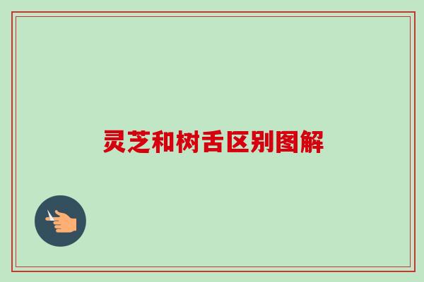 灵芝和树舌区别图解