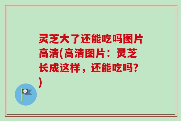 灵芝大了还能吃吗图片高清(高清图片：灵芝长成这样，还能吃吗？)