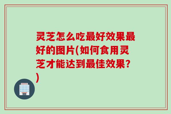 灵芝怎么吃最好效果最好的图片(如何食用灵芝才能达到最佳效果？)